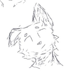 スワフル (Scawaffle)