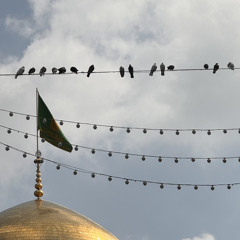 البَتول