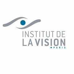 Institut de la Vision