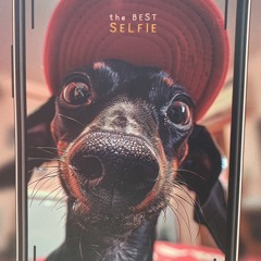 shalava pod metamphom