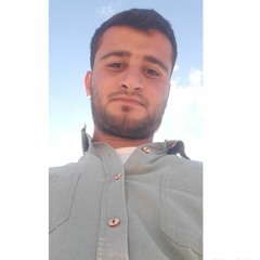 Abdelalim Hashish