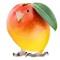 MangoBirdBeatz