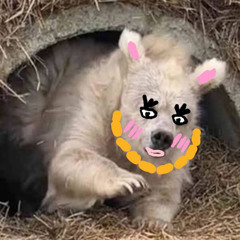 아또리