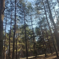 Дима Косенко