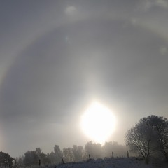 Halo