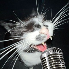 Skyler ✨🎤😺