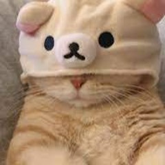 Yb0t