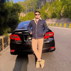 Hamidafridi