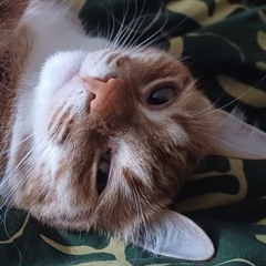 Bellaaa<3