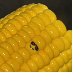 kxxxxxx