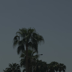 nr