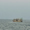 Manar.sh