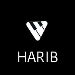 Harib - Hold Me Now ft. Sergi