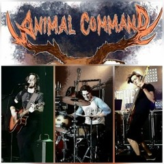 Animal Command