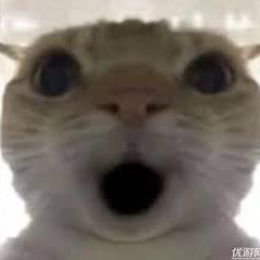 Reybb