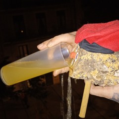 guenkofresko