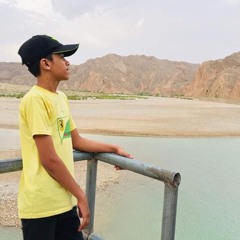owaisii