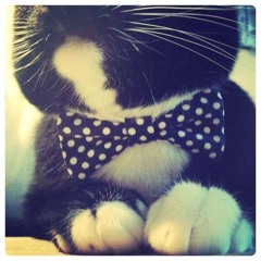 mr/snowball