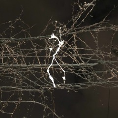 nietzsche across the stomach