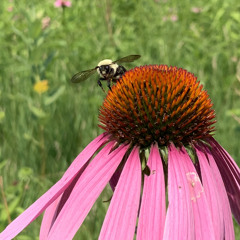 oh ya🛼💫✨💗🔥