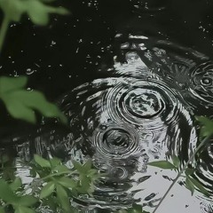 воровская лапа