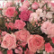 Rawan