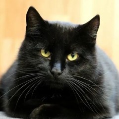 PoWer dEath PaNtHeR cLaW