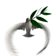 aguilaycondorvolando