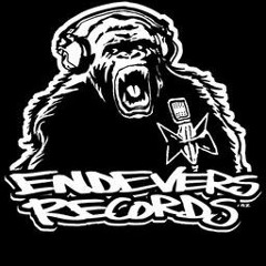 Endevers Records