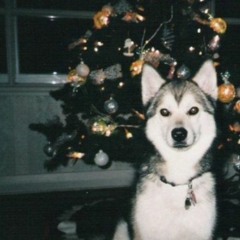 jack