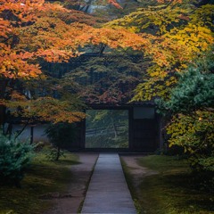 あすか 山田