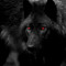 BlackWolf666