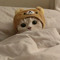 zzz