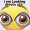owo I can’t have a good name