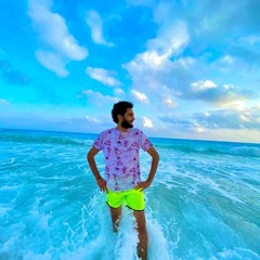 Hisham sallam