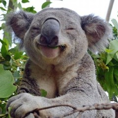 ŕřŕřuűůįíịï