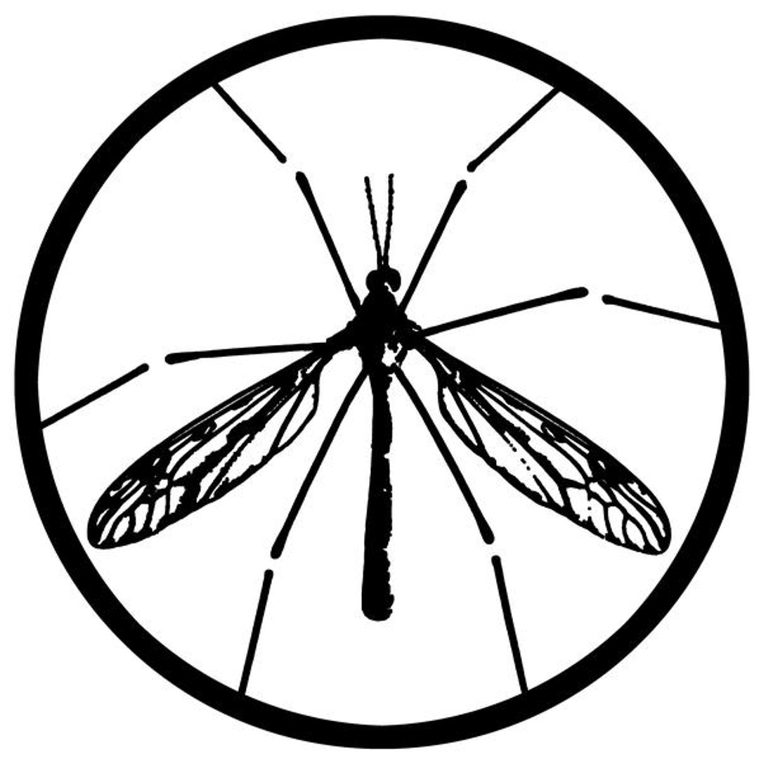 skeeter hawk records’s avatar