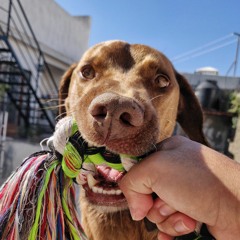 Obi <3