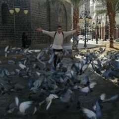 Ahmed Raouf