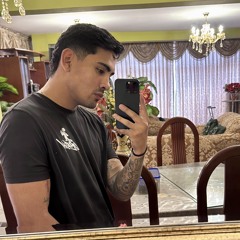 Nicolas Torres Valdivia