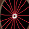Scottie Hawk7