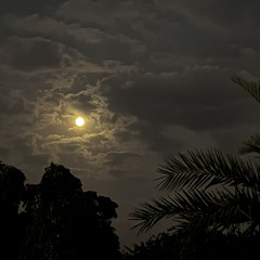 سالم الصريدي