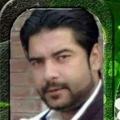 SD Shahzad