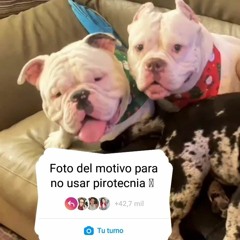 User 910134882