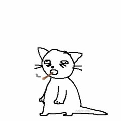 the cat