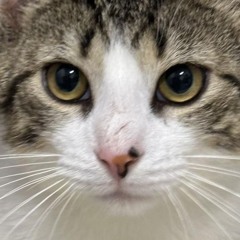 压碎药丸_____SuouSuou苏欧