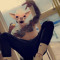 Callum_ G