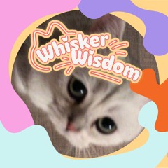 Whisker Wisdom