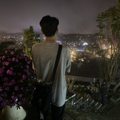Hoang Hao Ly Nguyen