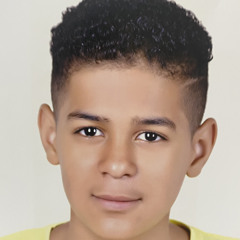 حسن شحاتة محمد علي
